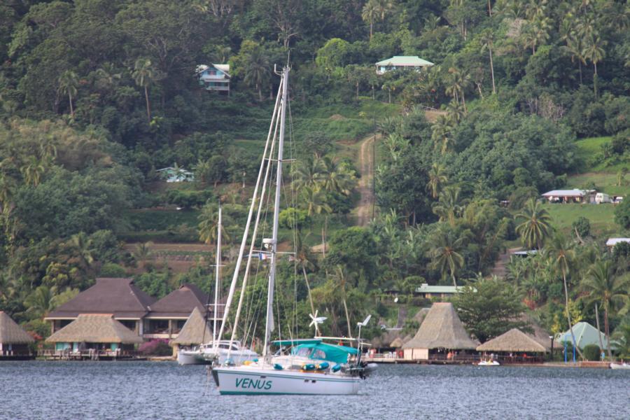 Thoralfs Moorea-Fotos98