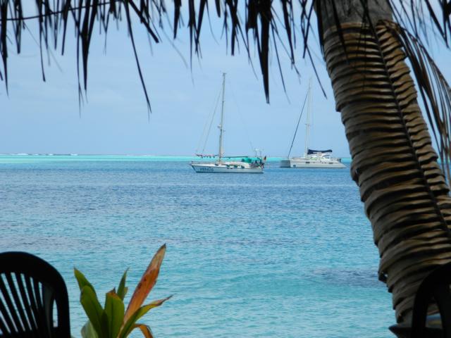 Venus in der Avea Bucht Huahine