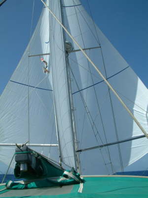 twin trade wind sails new 2009